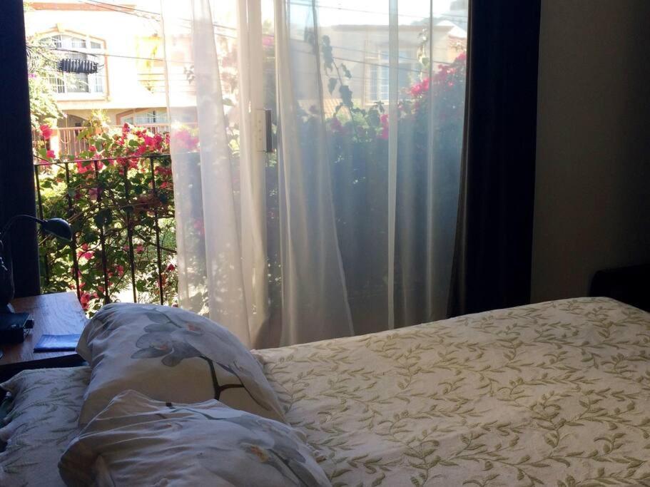 B&B Oui Madame Tijuana Room photo